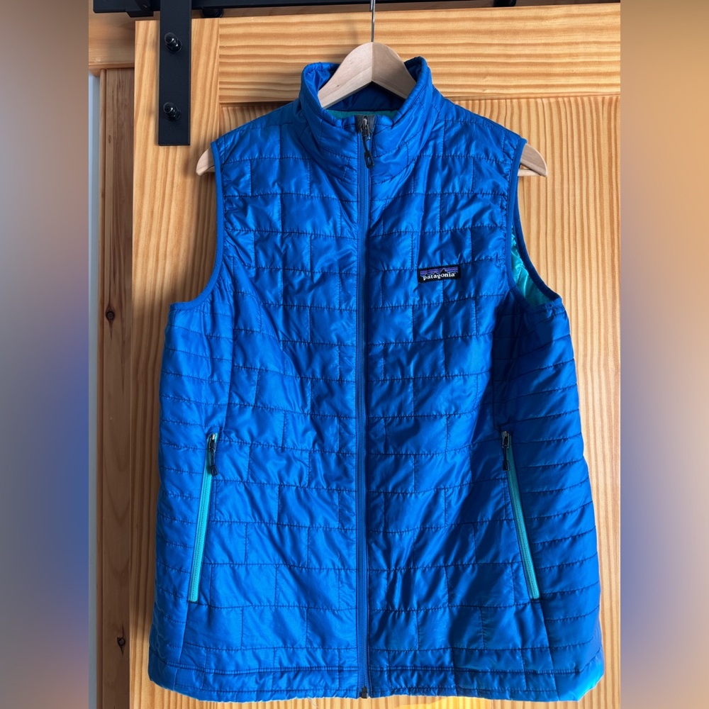 Patagonia Teal and Blue Jacket